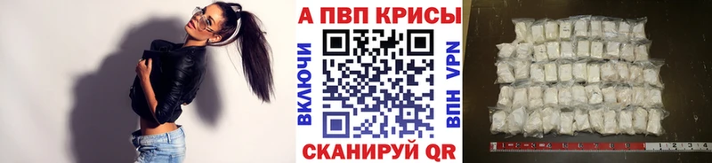 Alfa_PVP СК КРИС Белово