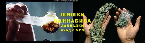 PSILOCYBIN Аркадак